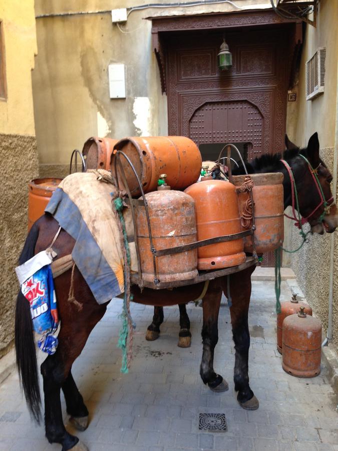 Riad Blanc De Fès Exteriör bild